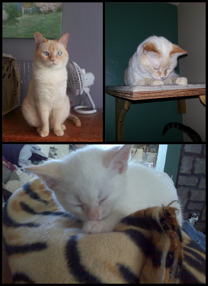  photo 2014-02-22 13.13.18_zpsl6wn8mn5.png